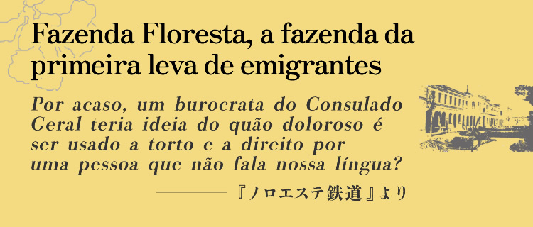 A obra de construção da Estrada de Ferro Noroeste e o desenvolvimento de seu entorno Aumentar 1 metro na extensão da estrada de ferro era como se nossas vidas fossem estendidas por mais um dia.